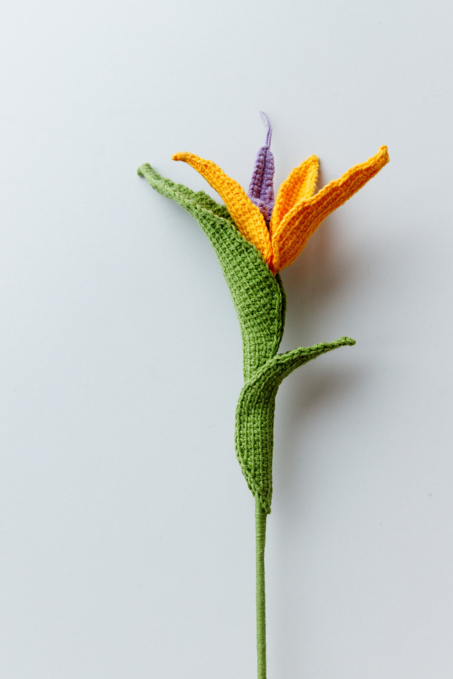 Crochet Bird of Paradise