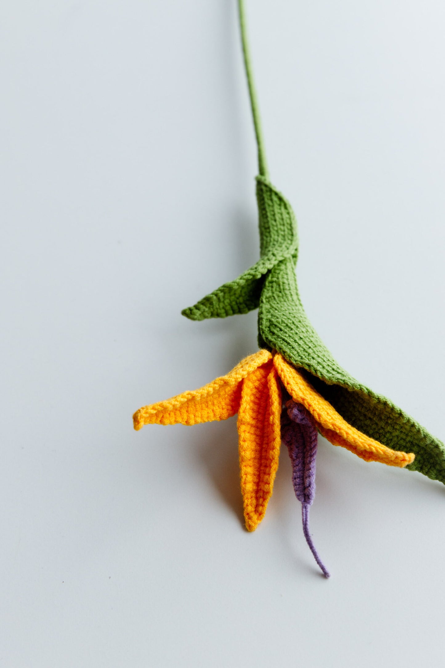 Crochet Bird of Paradise