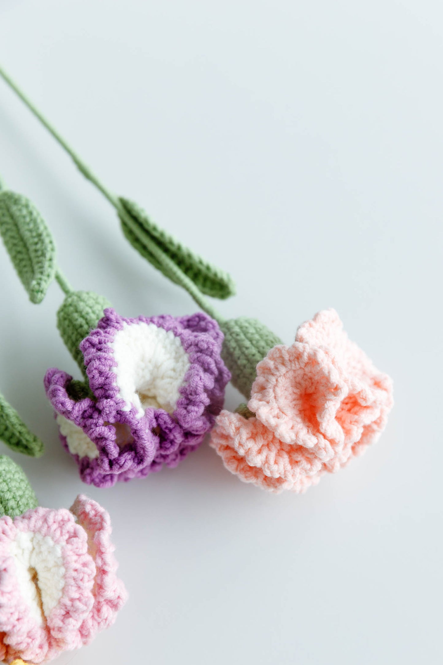 Crochet Carnation Flower