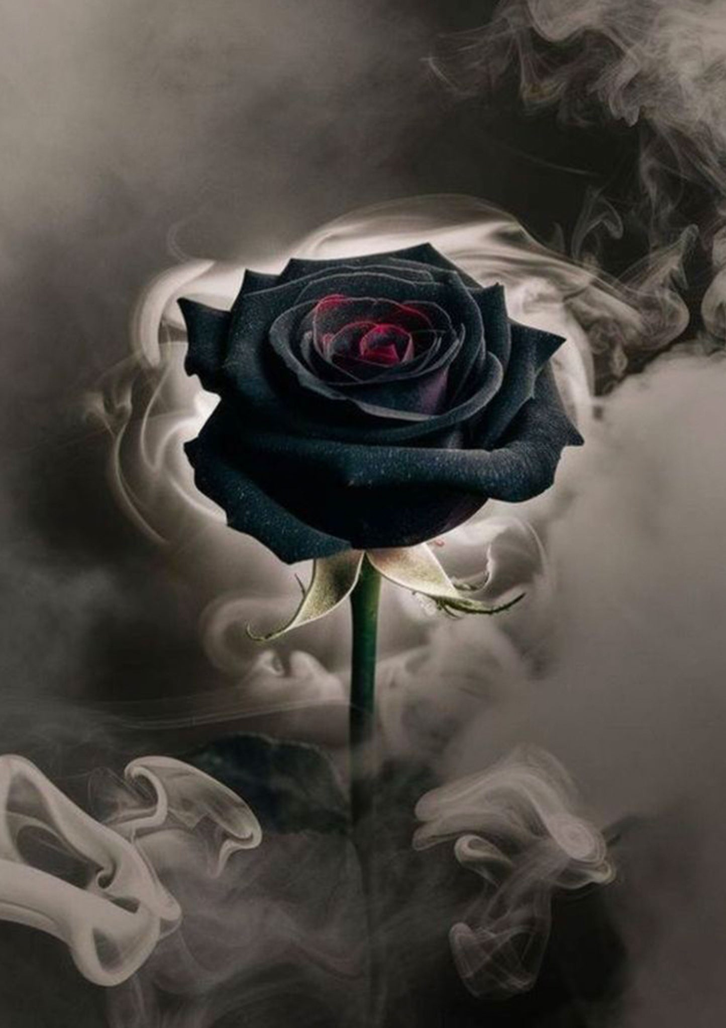 Whispers in Smoke poster Wall Art