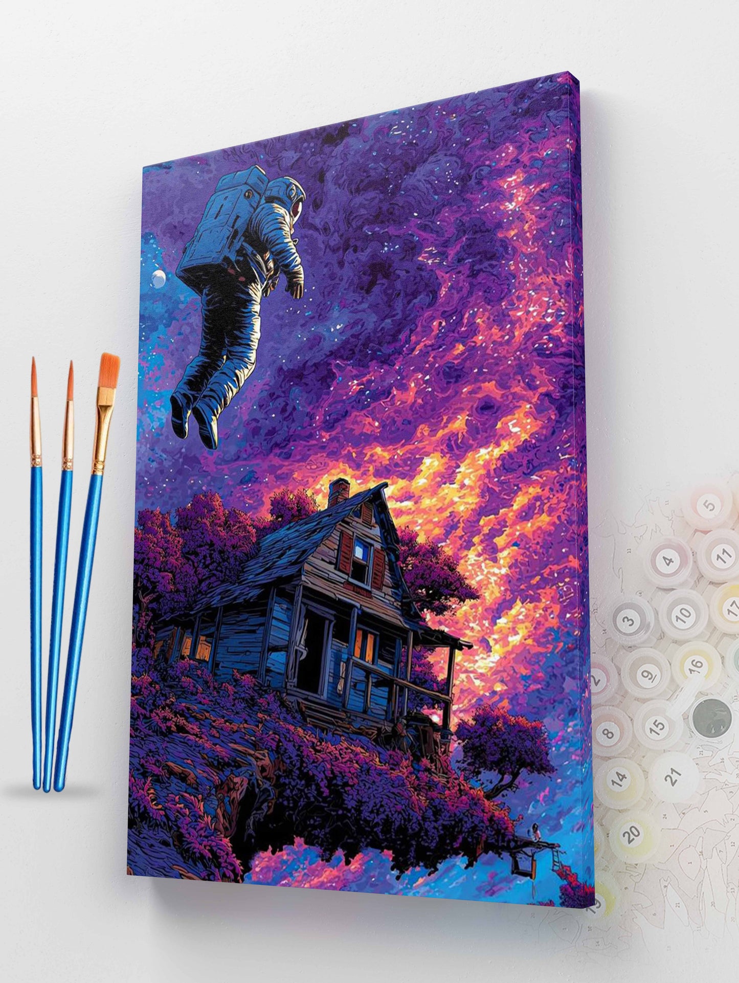Space House Paint by Numbers Kit