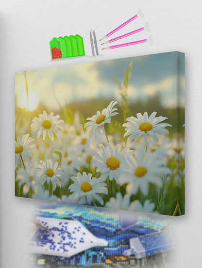 Daisy Garden Diamond Painting Kit