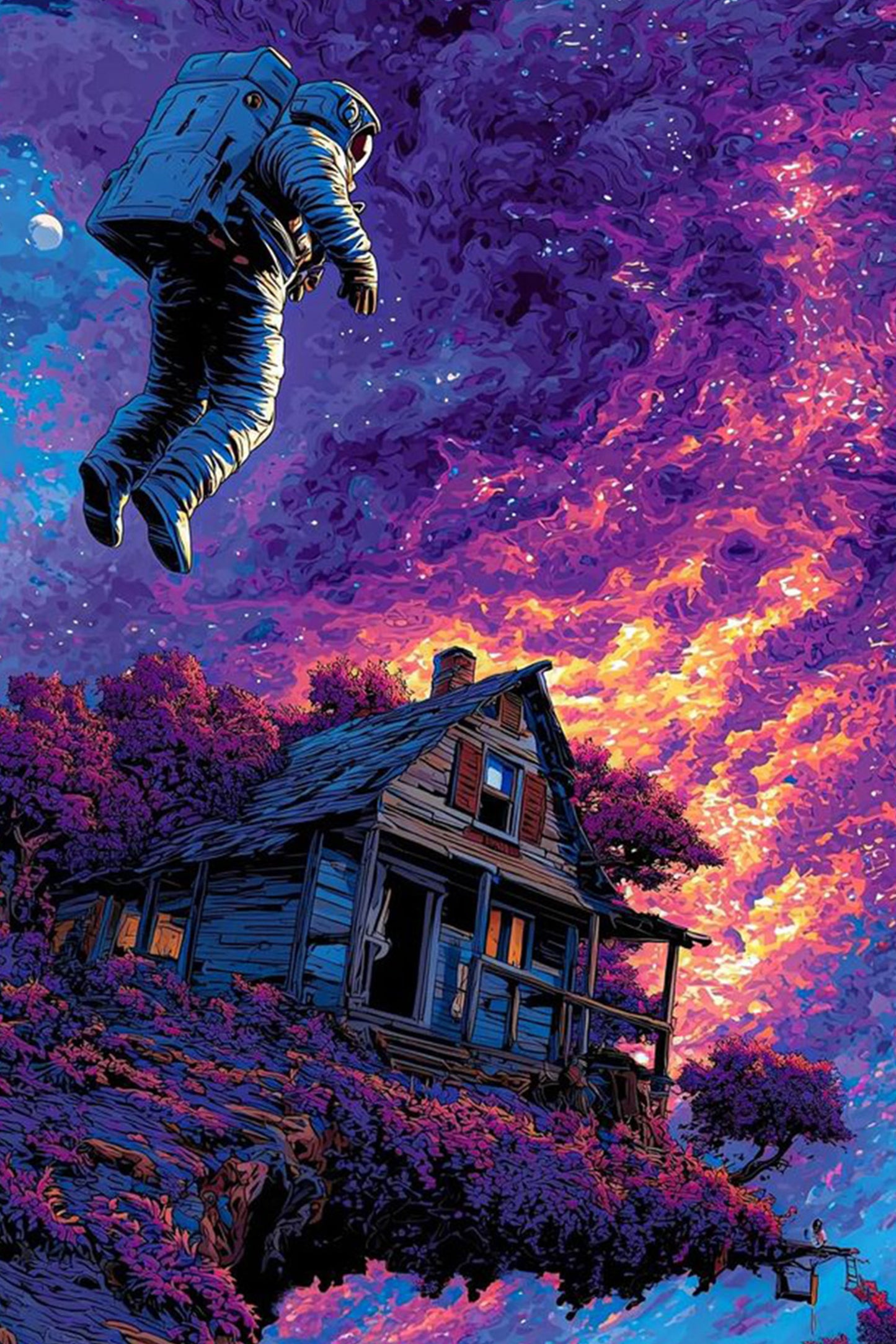 Space House Paint by Numbers Kit