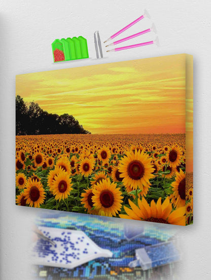 Sunflower Meadows | Diamond Painting Kit