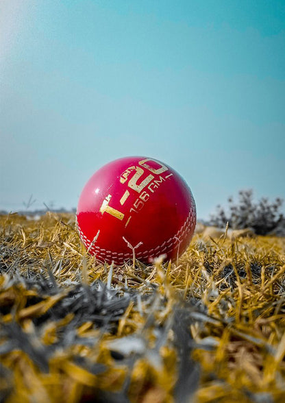 The Cricket Core poster Wall Art