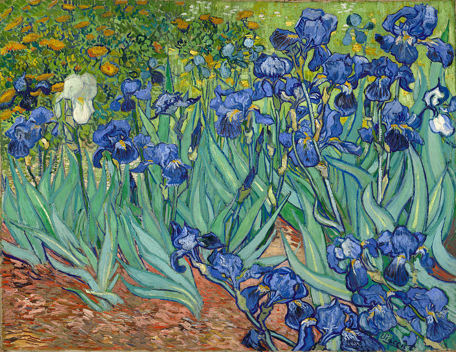 Starry Irises Diamond Painting kit