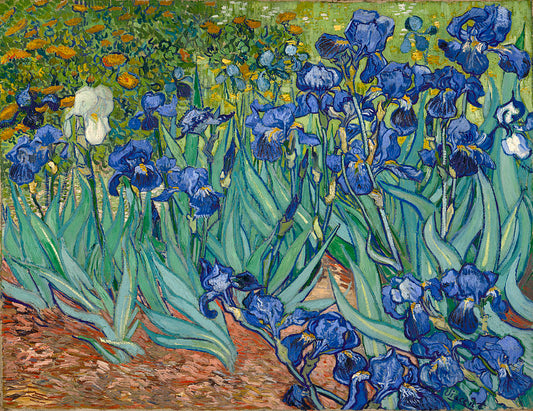 Starry Irises Diamond Painting kit